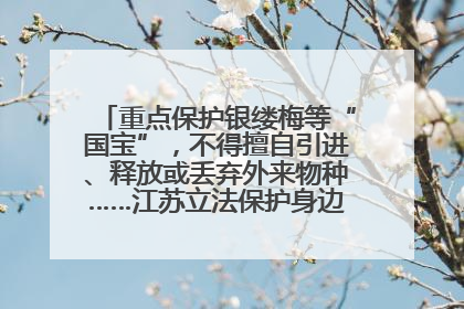 重点保护银缕梅等“国宝”，不得擅自引进、释放或丢弃外来物种……江苏立法保护身边的生物“朋友圈”